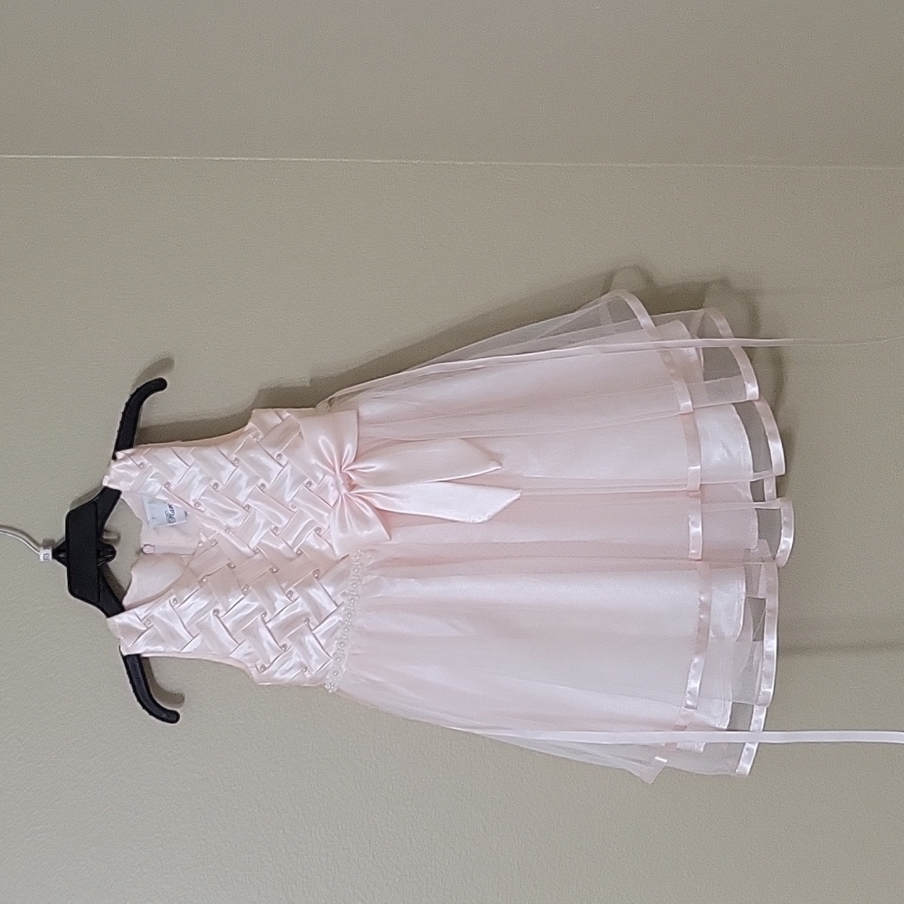 Toddler girl pink Rare Editions dress